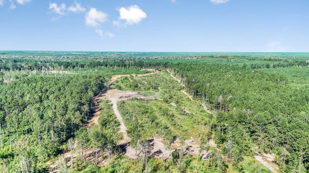 Small Hunting Tract in Amite County, MS