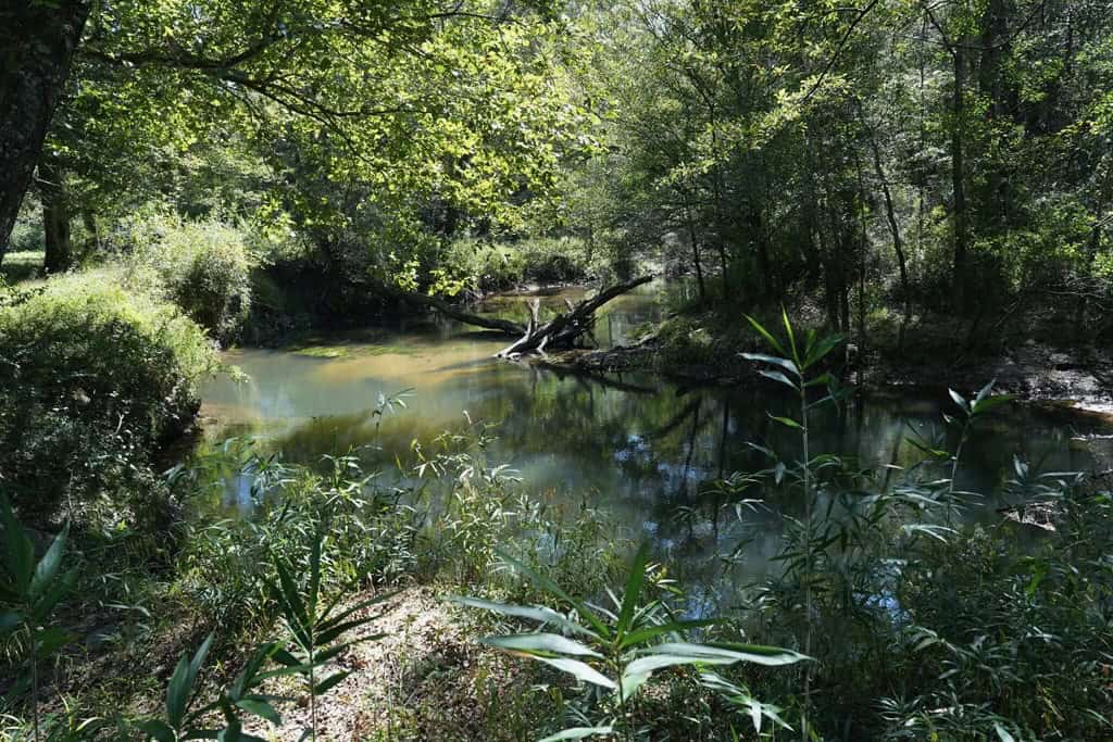34 Acres Waterfront Property South Mississippi with Cabin