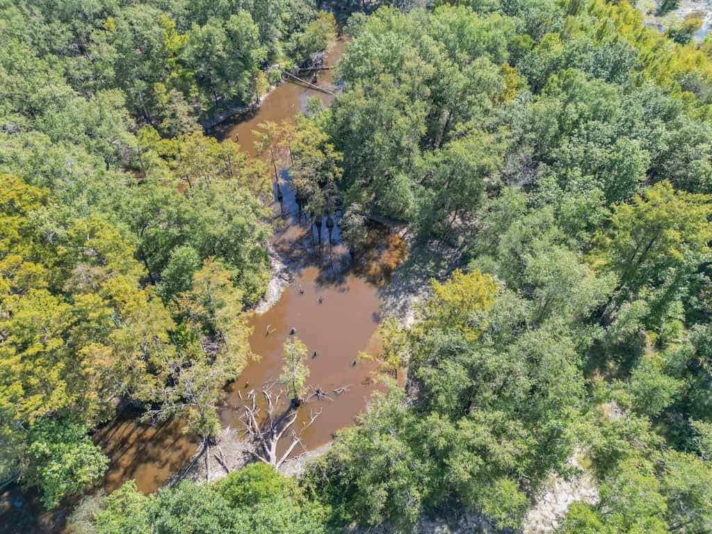 Duck Hunting Paradise for Sale in Ouachita Parish