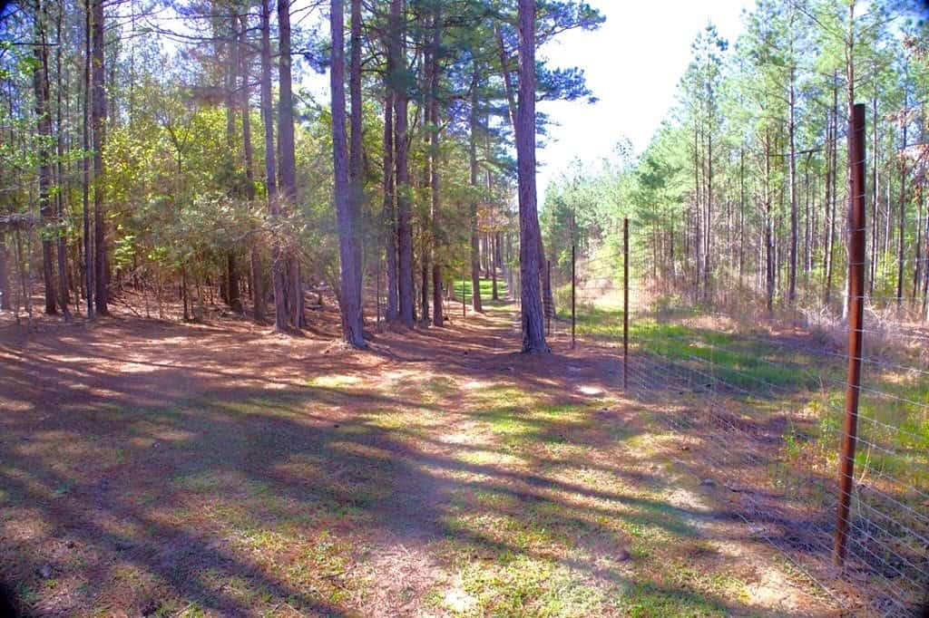 192 Acres of Land with 3 BR Hunting Lodge