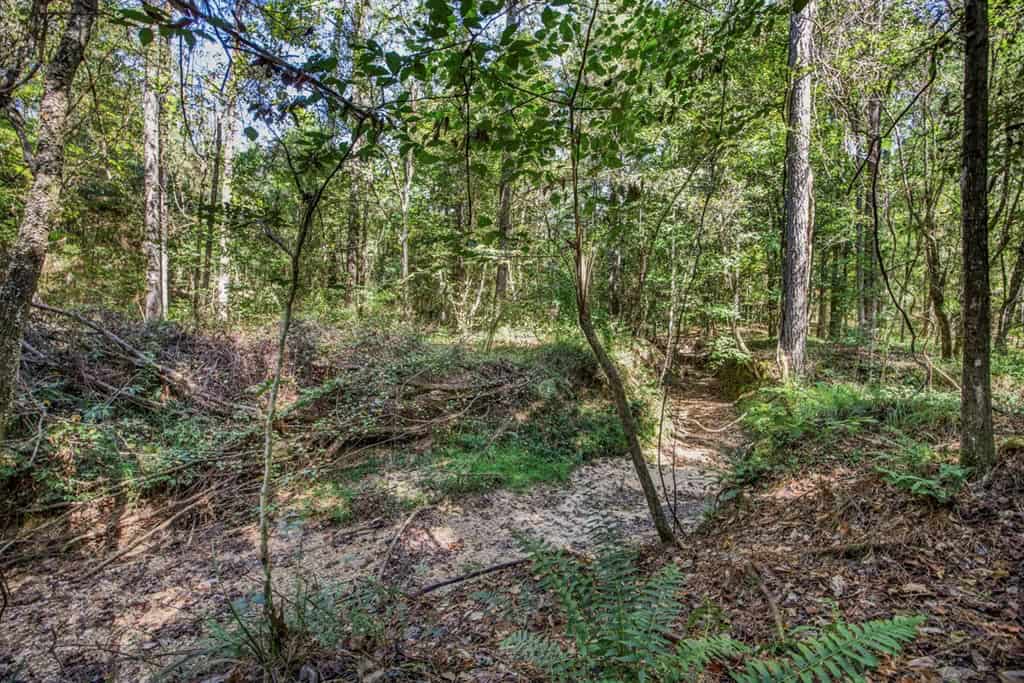Turnkey Property in Amite County Connected to Caston Creek