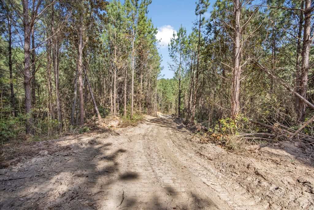Turnkey Property in Amite County Connected to Caston Creek