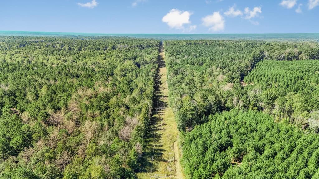 Affordable Hunting Property Adjoining National Forest