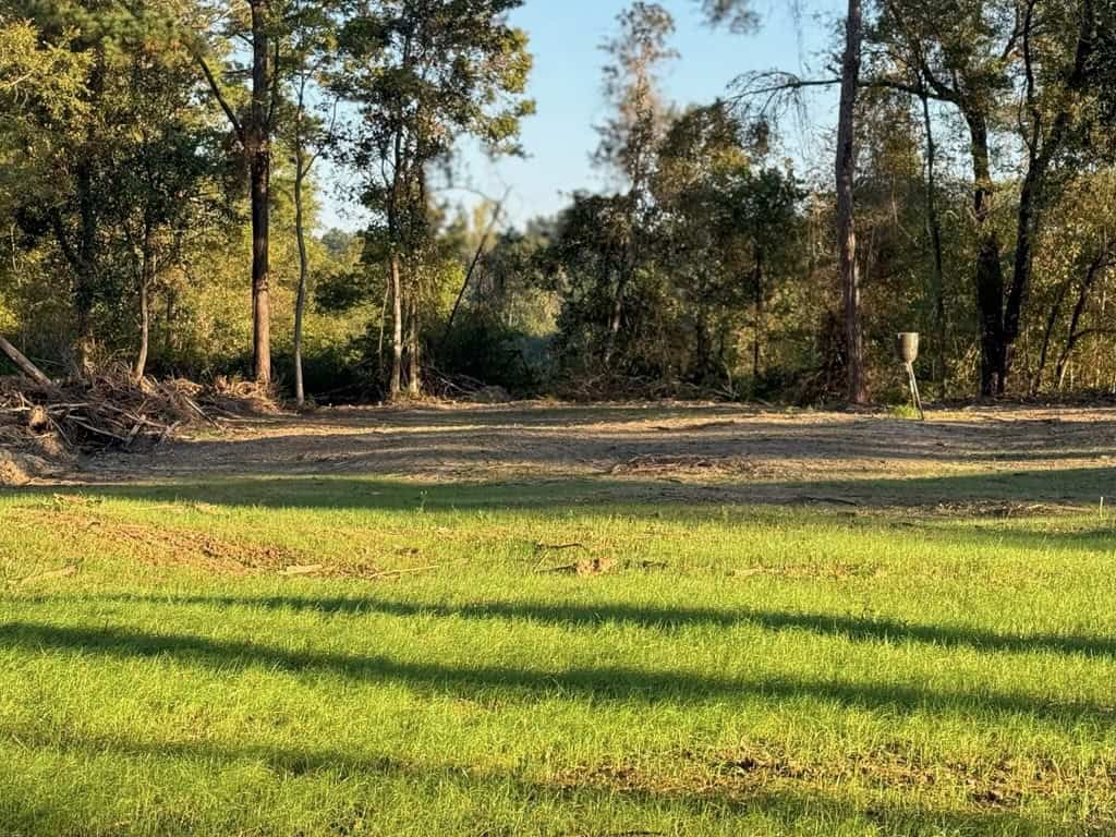 296 Acre Timberland for Sale with Creek Southwest MS