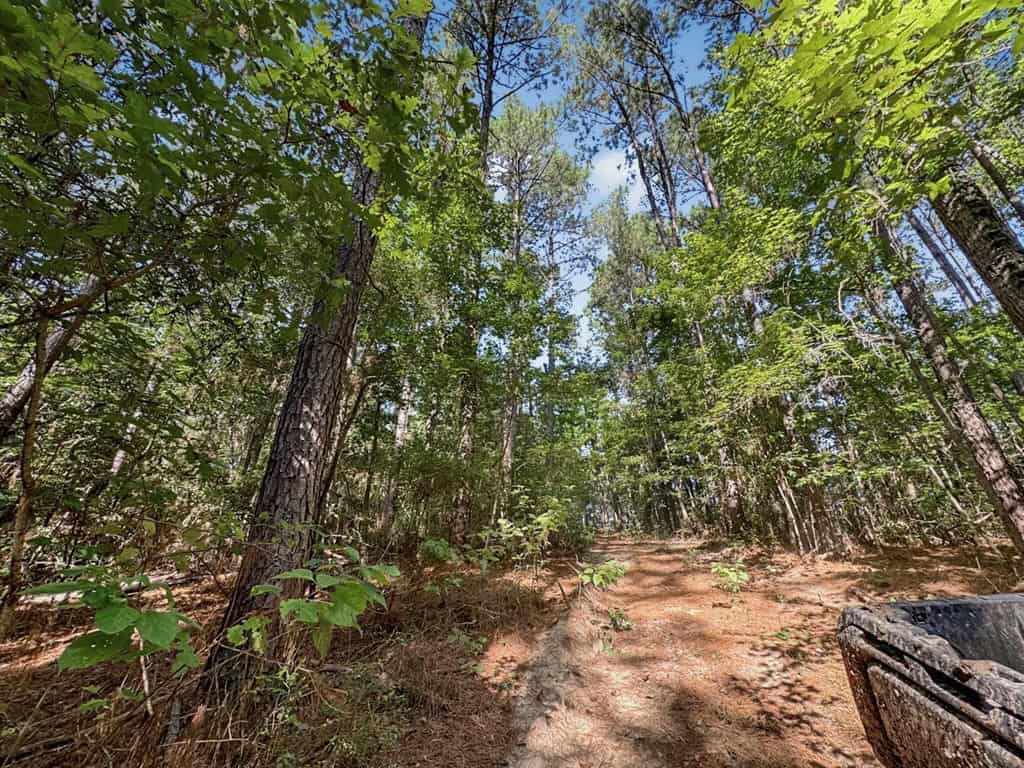 Hunting and Timberland for Sale in Ouachita Parish, LA