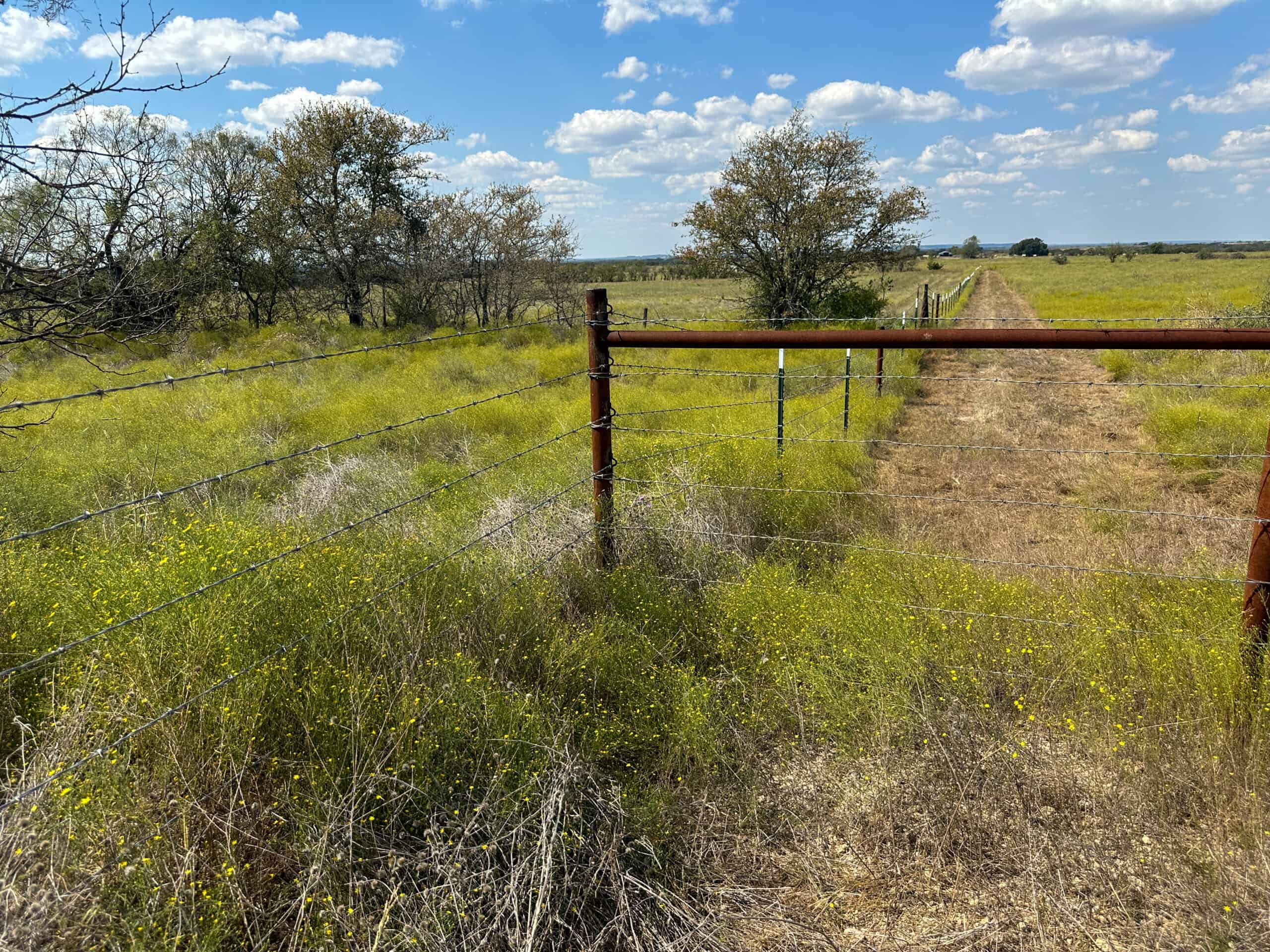 Central Texas 34.5-Acre Fenced Ranch for Sale – Perfect Custom Home Site