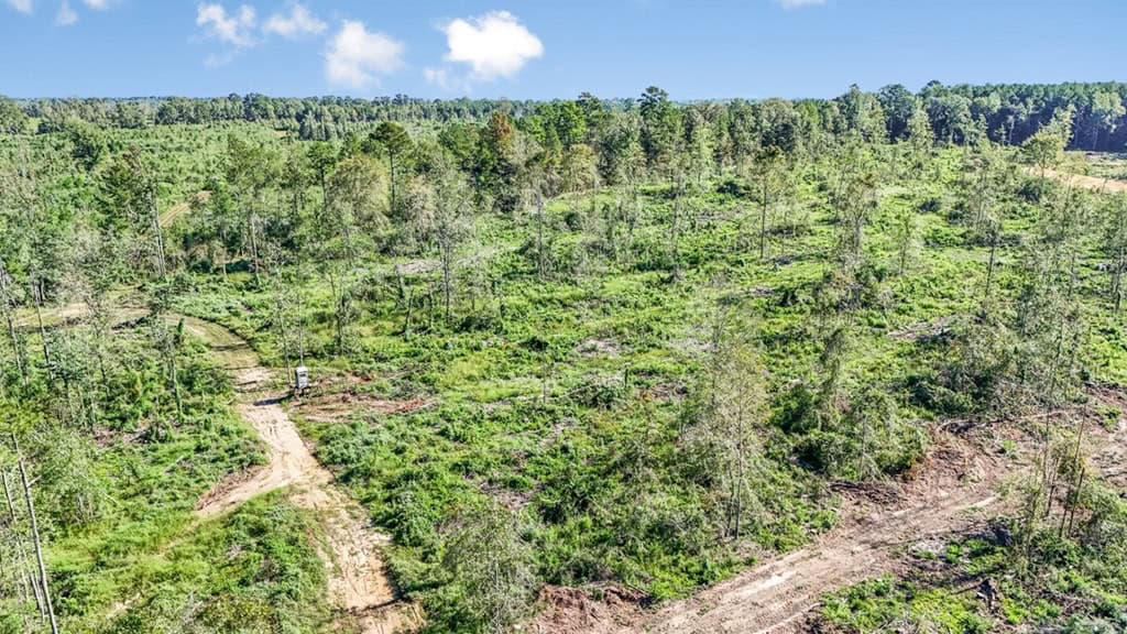 Small Hunting Tract in Amite County, MS