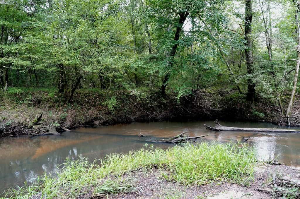 34 Acres Waterfront Property South Mississippi with Cabin