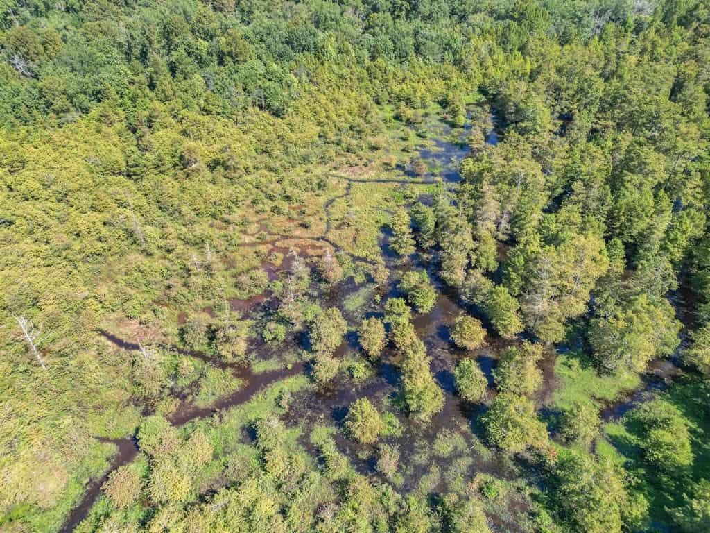 Duck Hunting Paradise for Sale in Ouachita Parish
