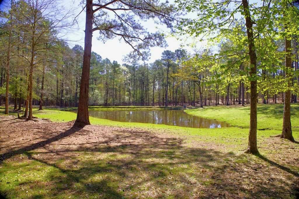192 Acres of Land with 3 BR Hunting Lodge
