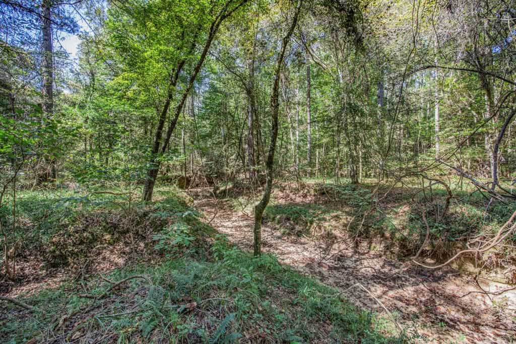 Turnkey Property in Amite County Connected to Caston Creek