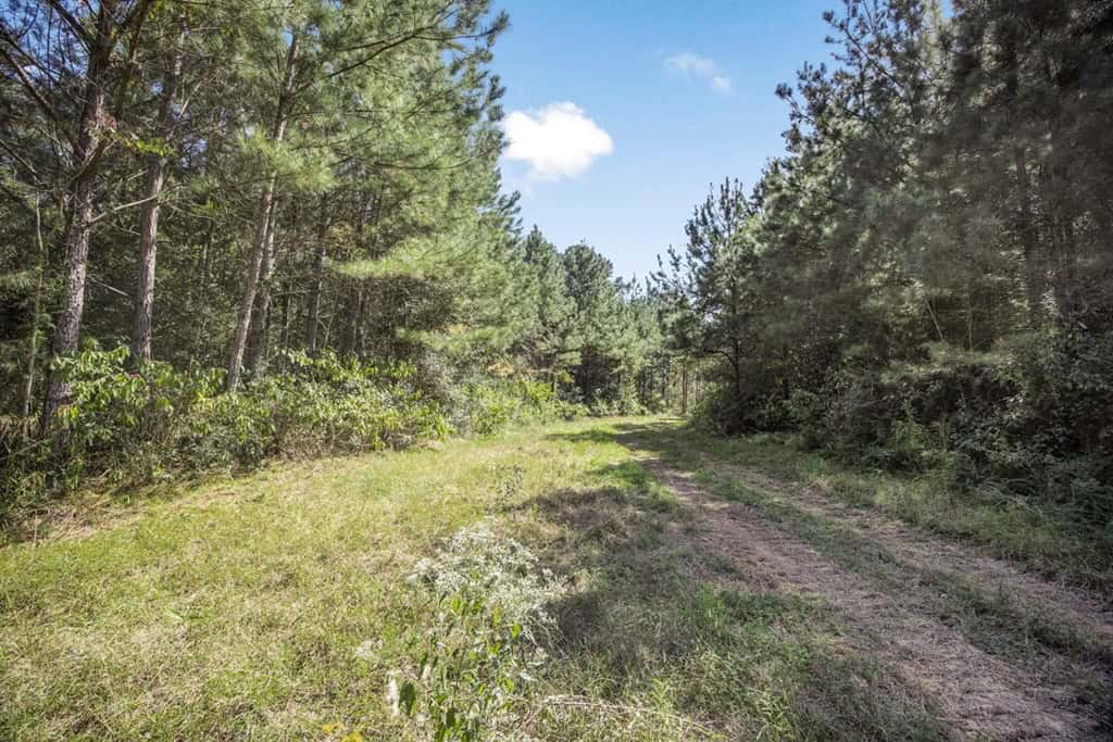 Turnkey Property in Amite County Connected to Caston Creek
