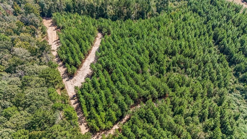 Affordable Hunting Property Adjoining National Forest