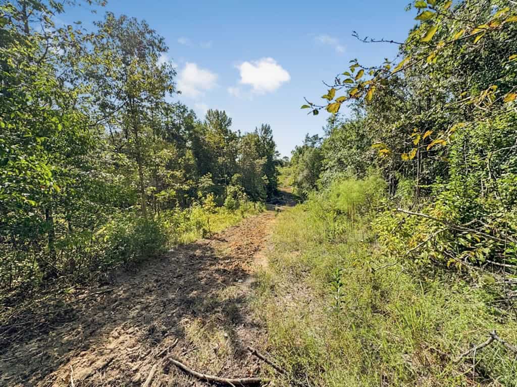 Hunting and Timberland for Sale in Ouachita Parish, LA