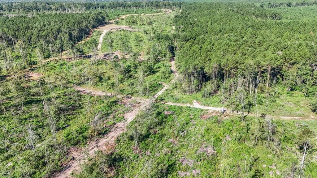 Small Hunting Tract in Amite County, MS