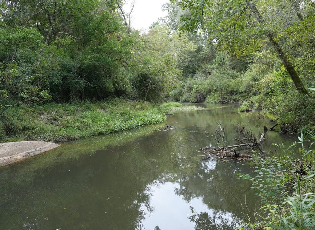 34 Acres Waterfront Property South Mississippi with Cabin