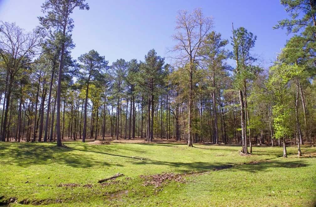 192 Acres of Land with 3 BR Hunting Lodge