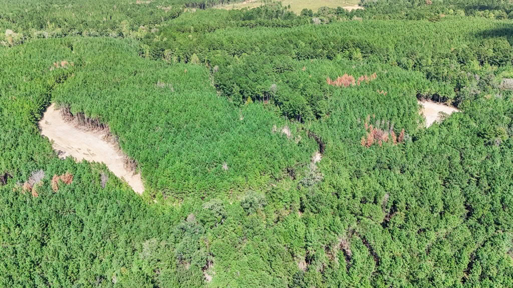 Turnkey Property in Amite County Connected to Caston Creek