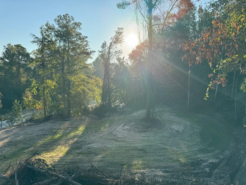 296 Acre Timberland for Sale with Creek Southwest MS