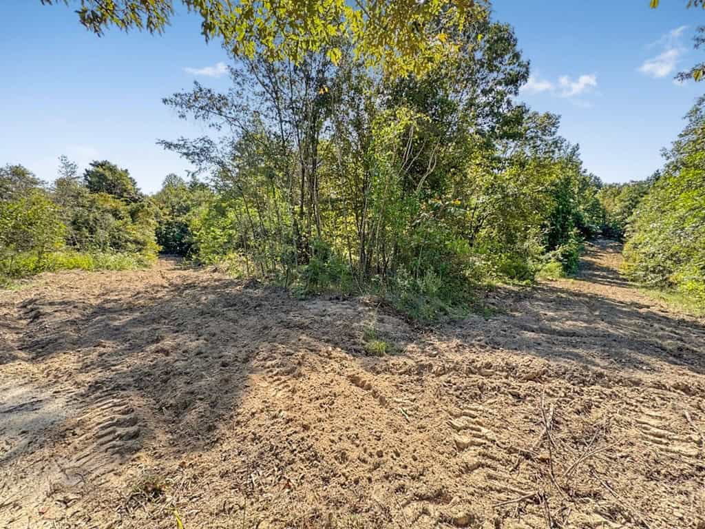 Hunting and Timberland for Sale in Ouachita Parish, LA