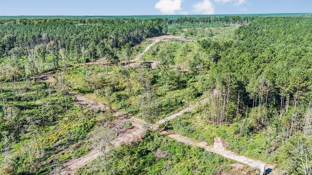 Small Hunting Tract in Amite County, MS