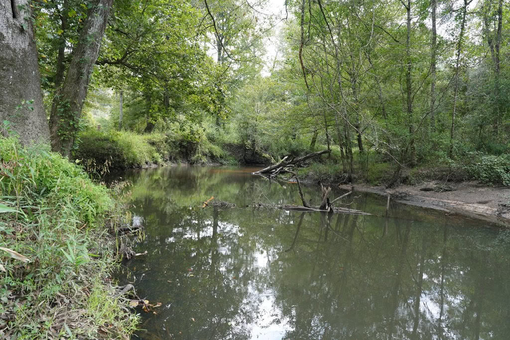 34 Acres Waterfront Property South Mississippi with Cabin