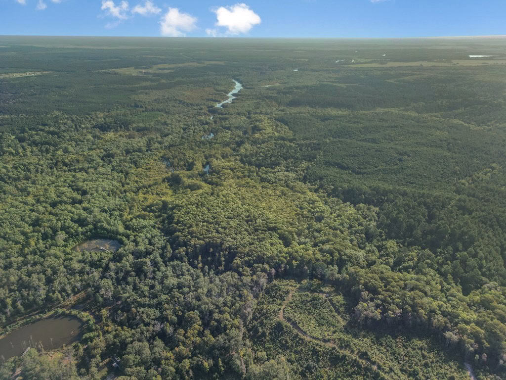Duck Hunting Paradise for Sale in Ouachita Parish