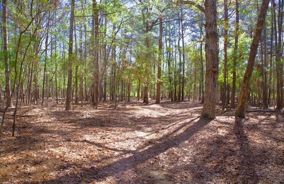 192 Acres of Land with 3 BR Hunting Lodge