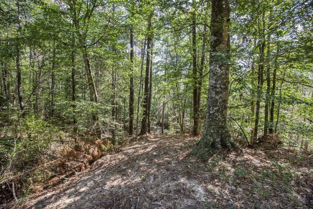 Turnkey Property in Amite County Connected to Caston Creek