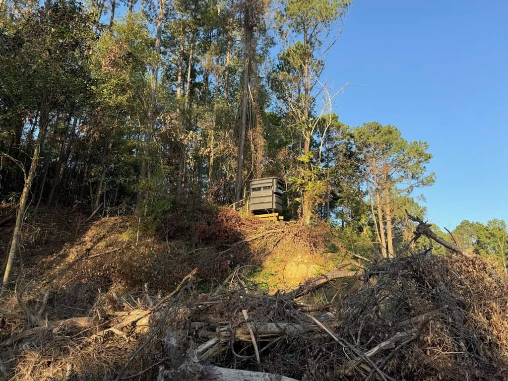 296 Acre Timberland for Sale with Creek Southwest MS