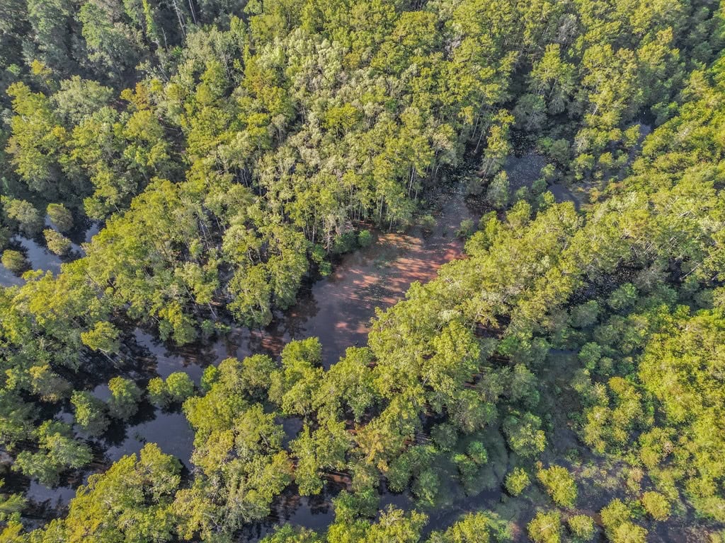 Duck Hunting Paradise for Sale in Ouachita Parish