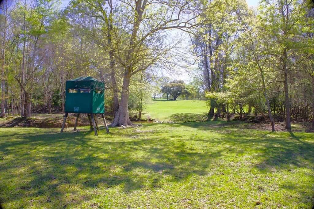 192 Acres of Land with 3 BR Hunting Lodge