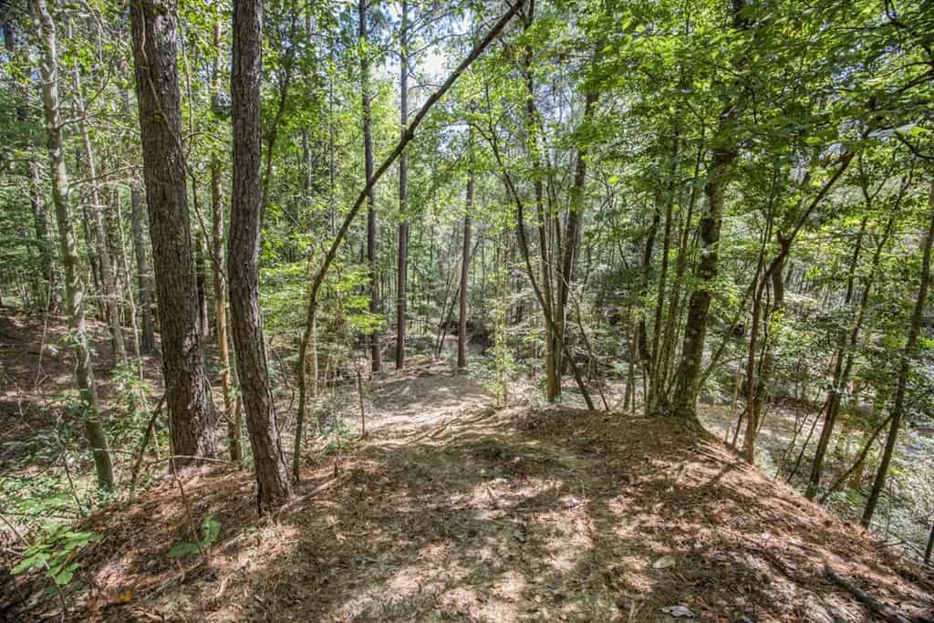 Turnkey Property in Amite County Connected to Caston Creek