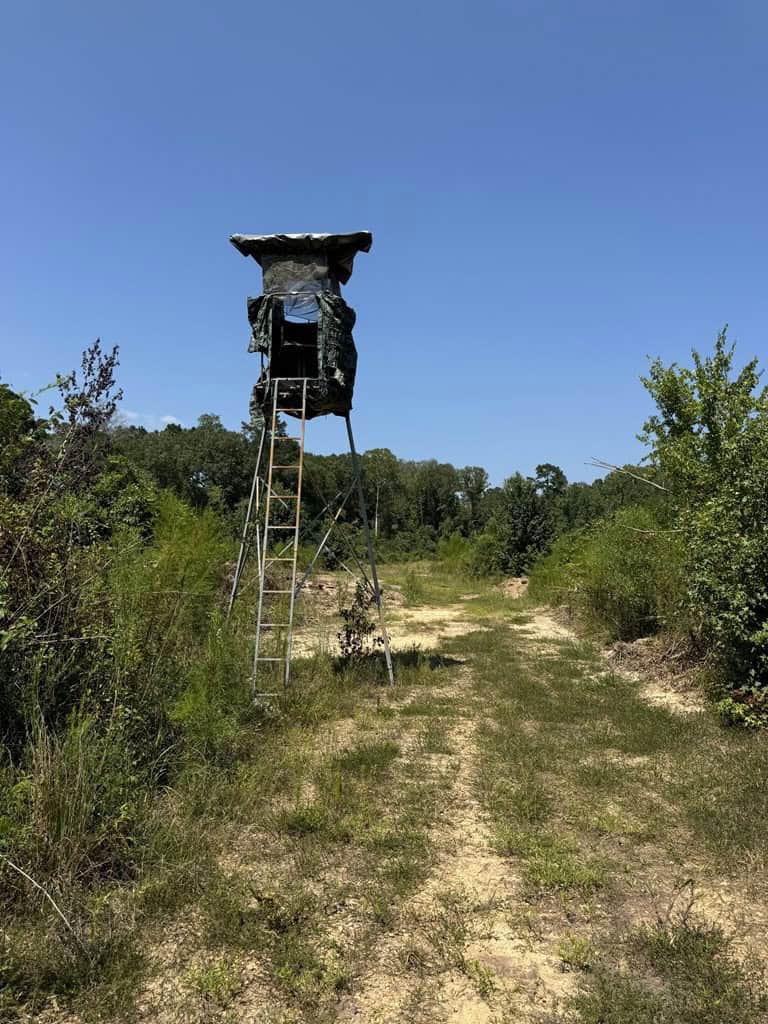 45 Acre Timberland Hunting Lincoln County South MS