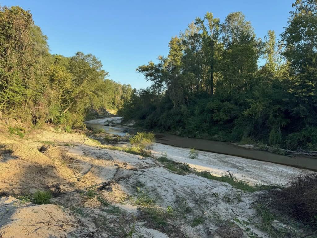 296 Acre Timberland for Sale with Creek Southwest MS