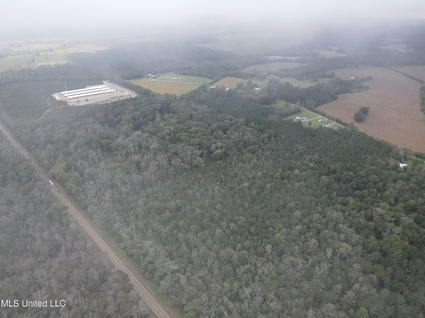42 Acres for Sale with Old Country Home Scott Co MS