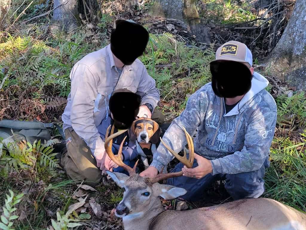 Hunting and Timberland for Sale in Ouachita Parish, LA