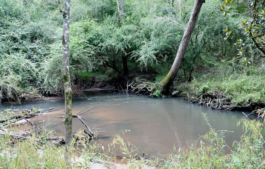 34 Acres Waterfront Property South Mississippi with Cabin