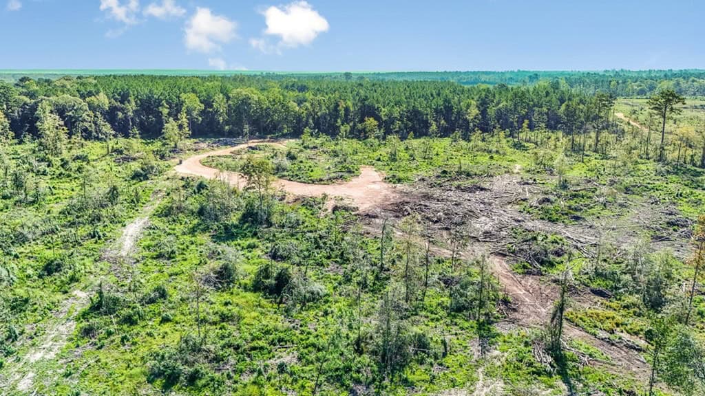 Small Hunting Tract in Amite County, MS