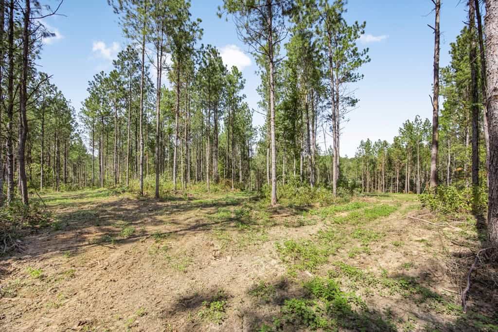 Turnkey Property in Amite County Connected to Caston Creek