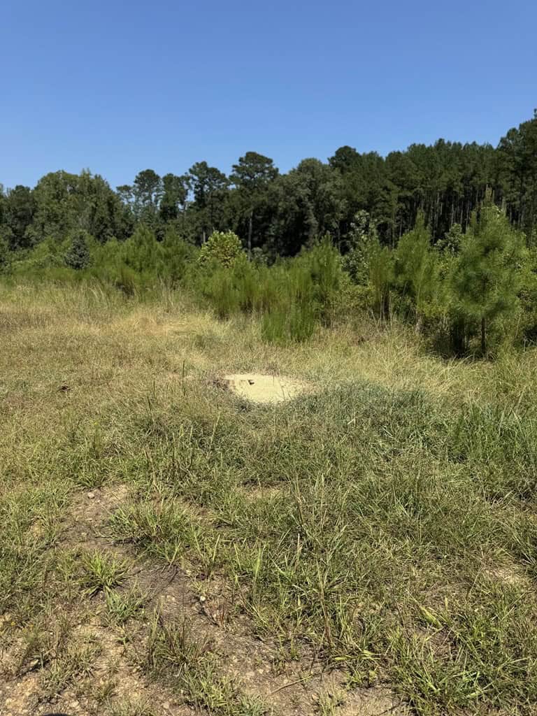 45 Acre Timberland Hunting Lincoln County South MS
