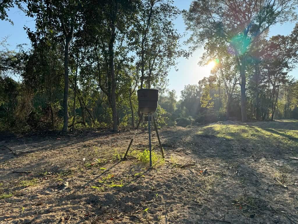 296 Acre Timberland for Sale with Creek Southwest MS