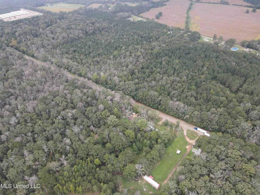 42 Acres for Sale with Old Country Home Scott Co MS