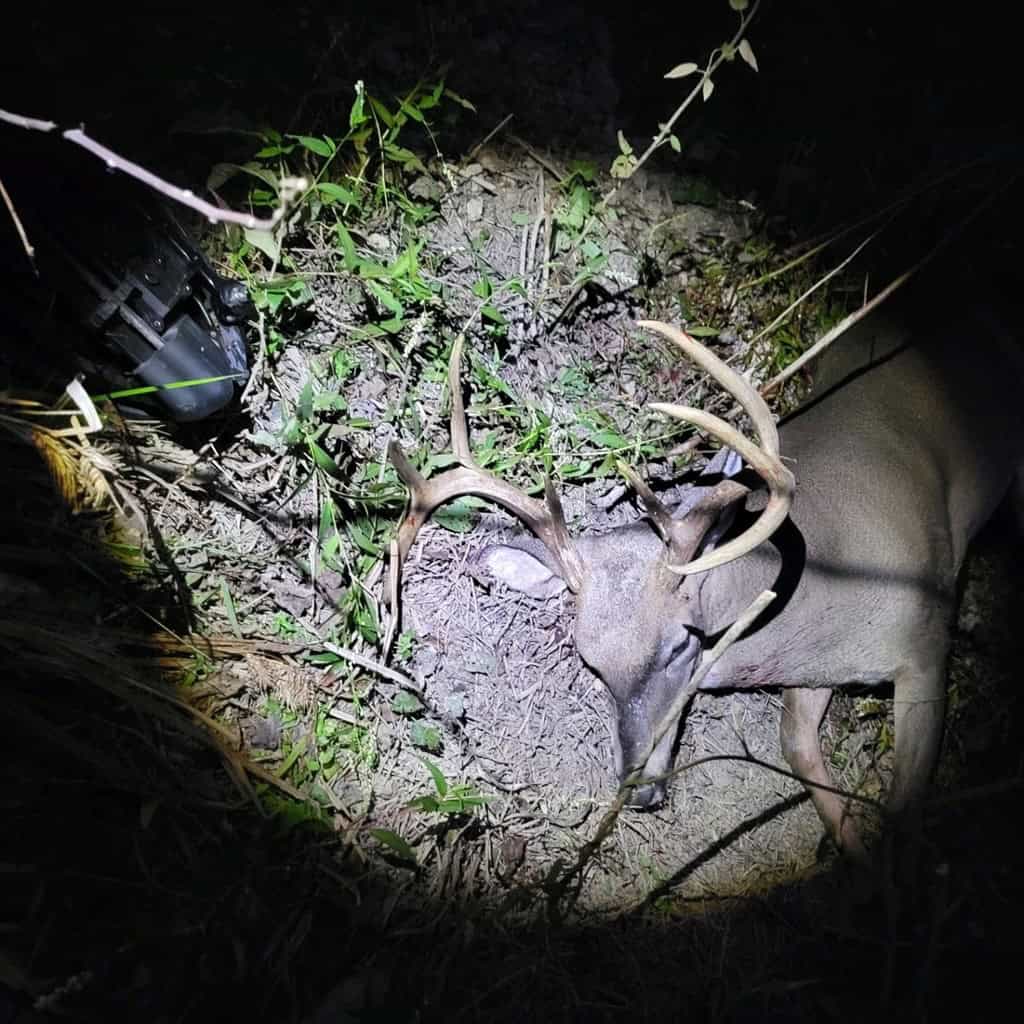 Hunting and Timberland for Sale in Ouachita Parish, LA