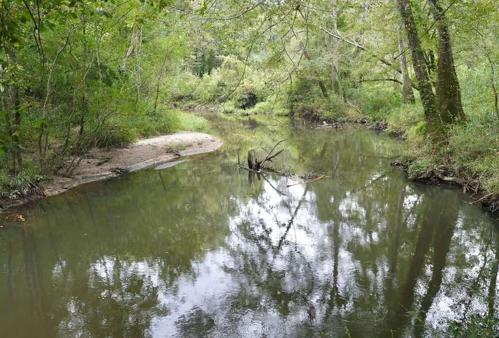 34 Acres Waterfront Property South Mississippi with Cabin