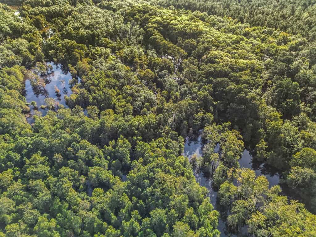 Duck Hunting Paradise for Sale in Ouachita Parish