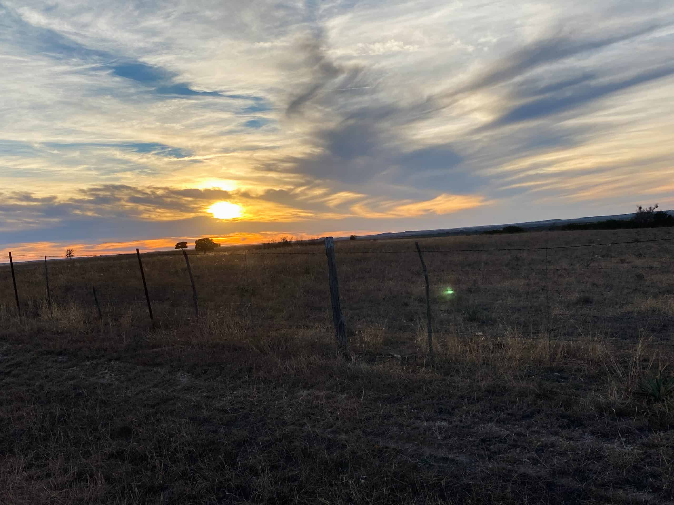 Central Texas 34.5-Acre Fenced Ranch for Sale – Perfect Custom Home Site