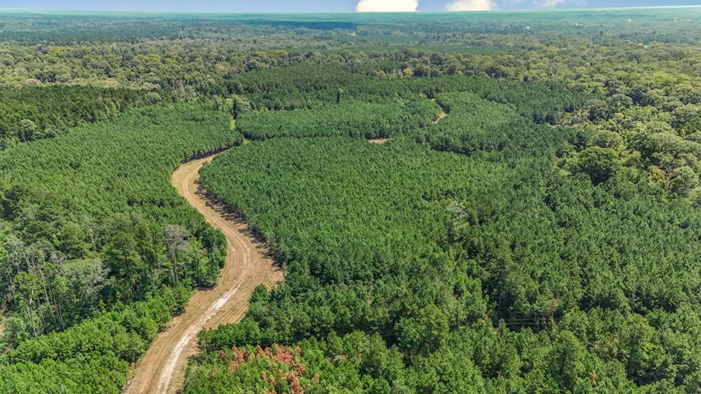137 Acres for Sale with Comite River Frontage