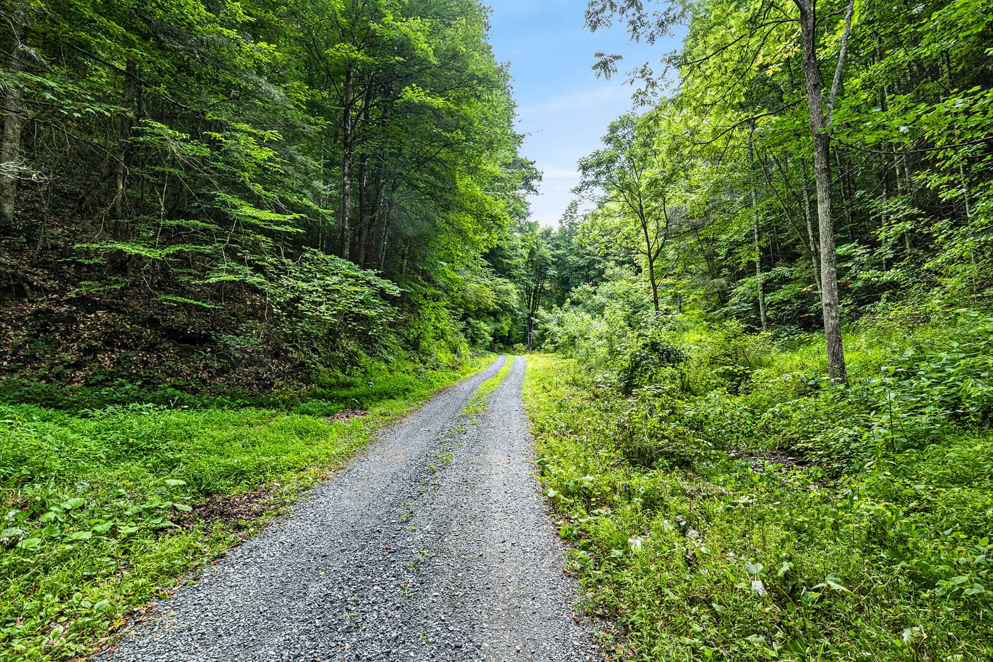 Building Lot for Sale in Bristol VA