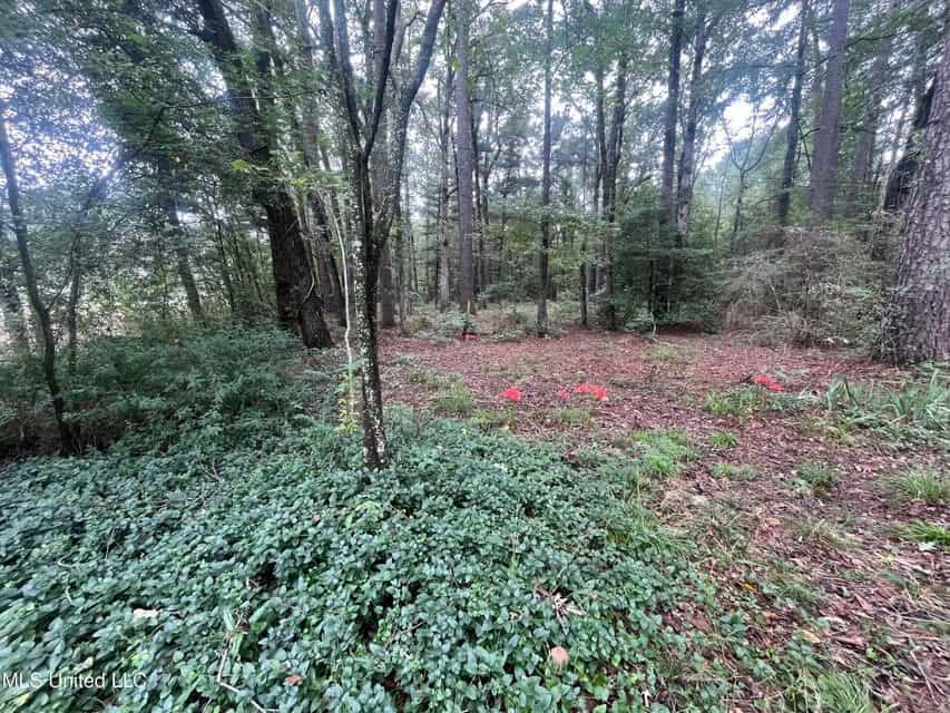 42 Acres for Sale with Old Country Home Scott Co MS